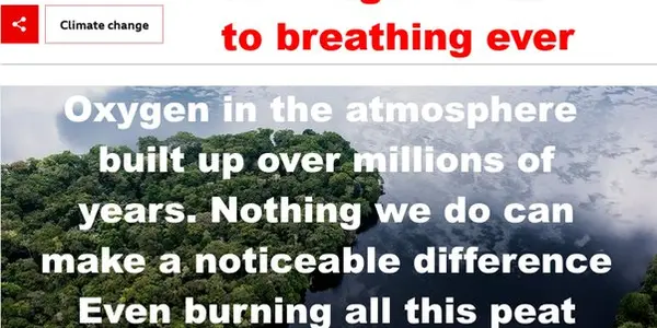 Congo Basin Peat Bank - NOT Lungs - No Impact On Breathing - One Of The Most Intact Tropical Rainforests And We Are Saving It