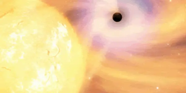 Black Holes Demystified