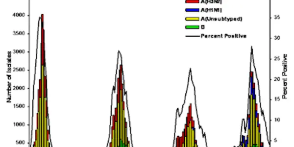 How The Influenza Virus Is Like An M&M