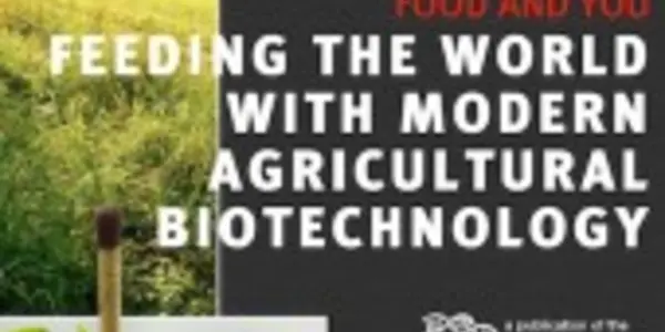 Germany Versus Science, Round Two