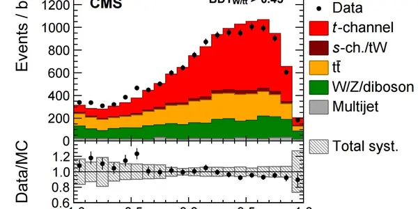 The Graph Of The Week: Polarization In Single Top Production