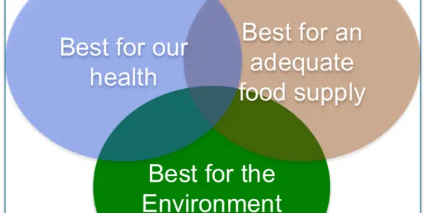Why Organic Can't Fulfill Our Food Supply Ideals
