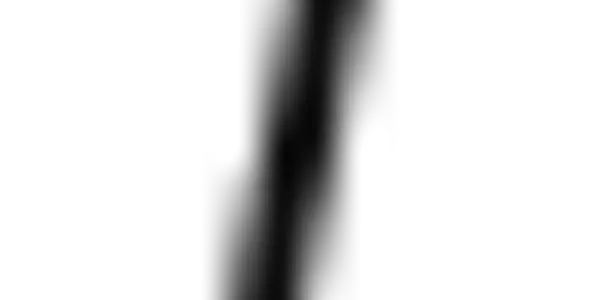 testing widget