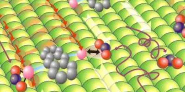 Molecule Walks In A Straight Line And Carries A Tiny Shopping Bag In Each Hand
