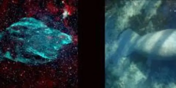 SS433 Microquasar Impact On W50 Supernova Bubble