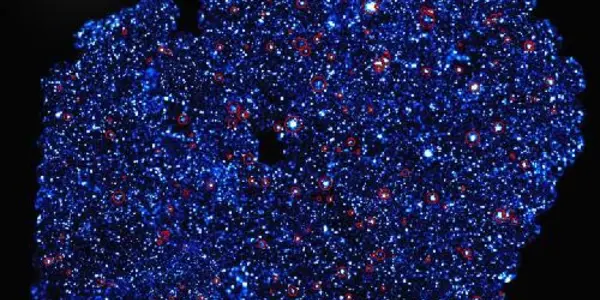 XXL Hunt For Galaxy Clusters