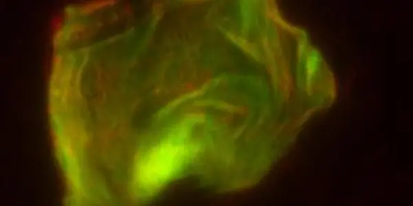 'Mechanically Active' DNA - Bring On The Self-Propelled Goo