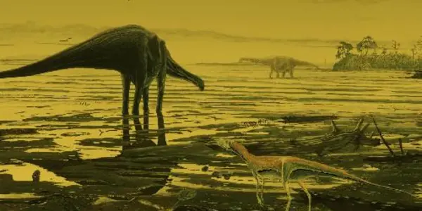 Fossil Dinosaur Tracks Give Insight Into Lives Of Prehistoric Giants