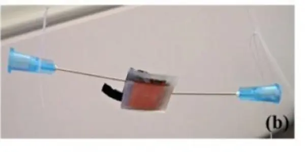 Tiny Microbial Power Generator Runs On Spit