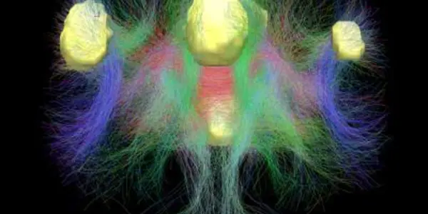 Brain On Autopilot