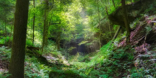 Featured Image