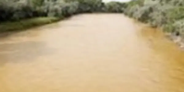 Rogue EPA Wants to Run Our Country