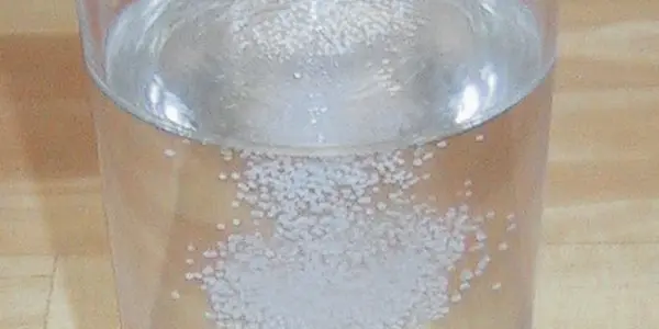 Salt: an endangered food group