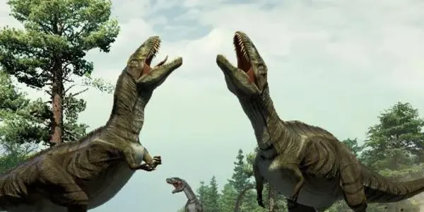 Discovery Shows Dinosaurs May Have Been The Original Lovebirds