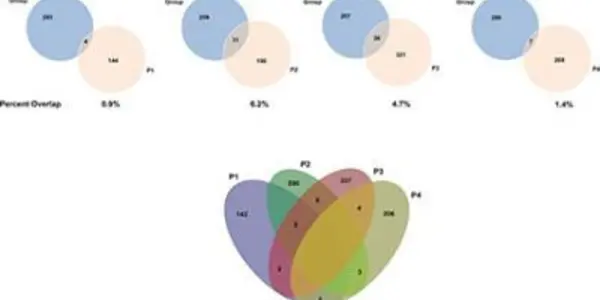 Personalized Medicine: Buzzwords Or The Best Way To Treat Cancer?
