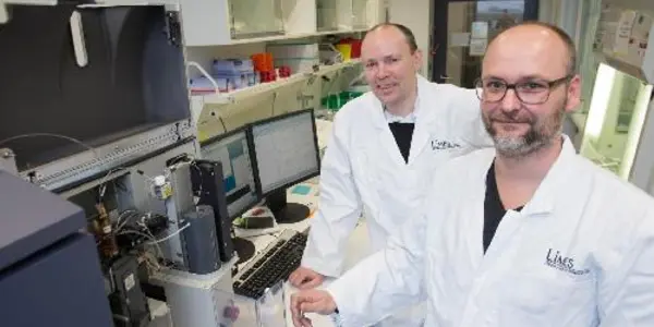 Immune Factor Allows Viral Infections To Become Chronic
