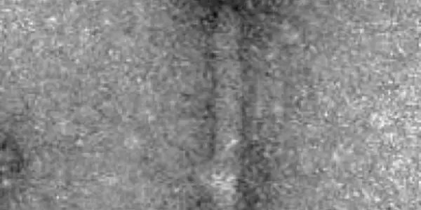Science Kaiju: Bacteriophages Versus Superbugs