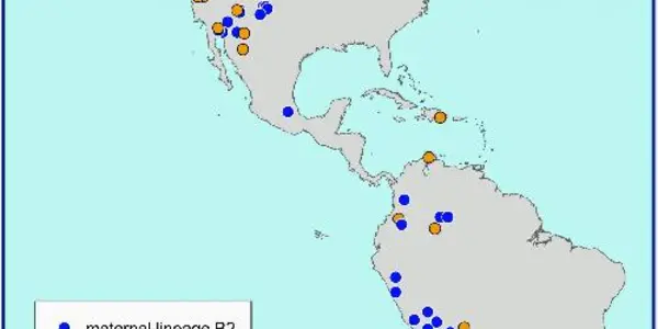 Beringian Standstill: Ancient Baby Genetics Boost Bering Land Bridge Layover Hypothesis