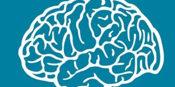 In Neuroscience, Computers Have Anthropomorphized Us