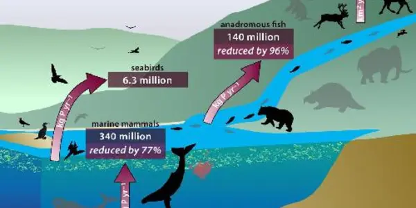 Lost Giant Poop Disrupts Whole Planet