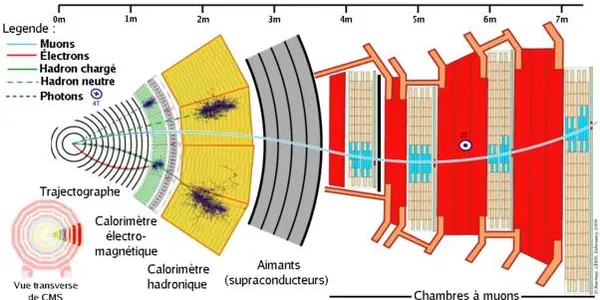 New CMS Results On Dijet Resonances