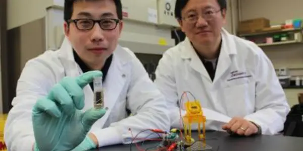 Biodegradable Battery Runs On Sugar