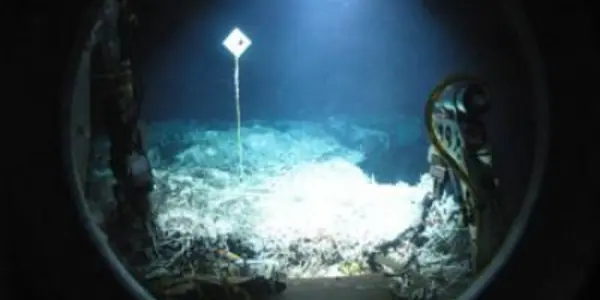 Light In The Dark: The Secret World Of Microbial Life In Undersea Volcanoes