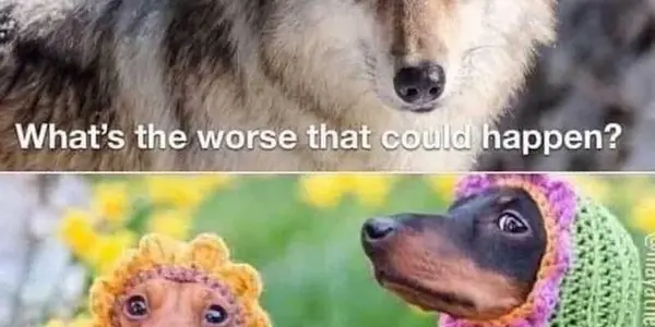Featured Image