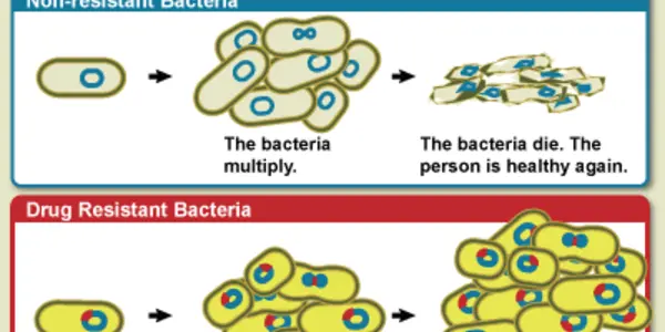 Drug Resistance- How Bugs Adapt!
