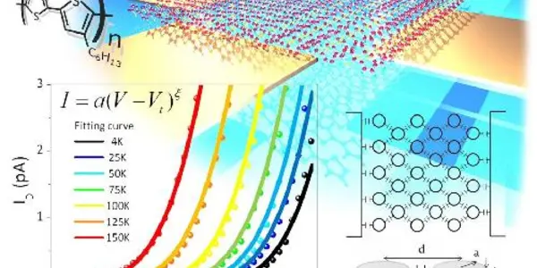 Coulomb Blockade In Organic Conductors Found, A World First
