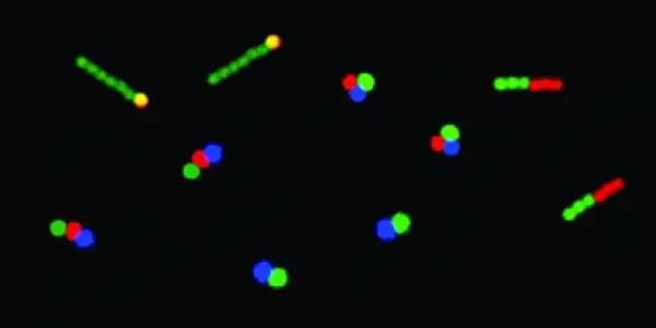 Artificial Molecules