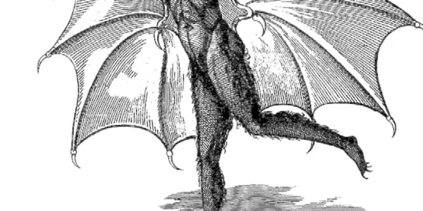 Bat  People On The Moon: A Great Moment In 19th Century Science Journalism