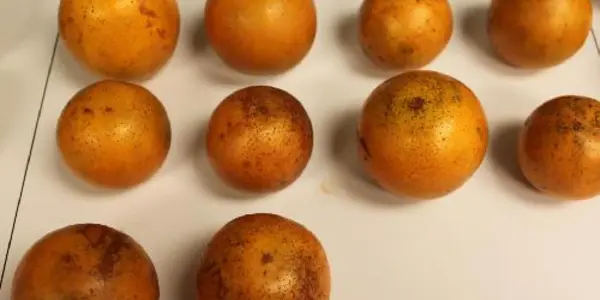 Three Food Grade Colorants Identified For Citrus