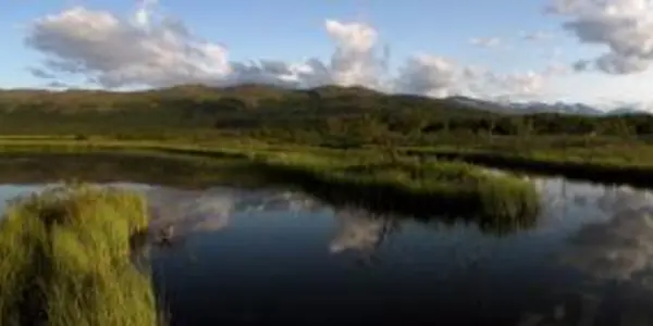 Global Warming May Increase Methane Emissions From Freshwater Ecosystems