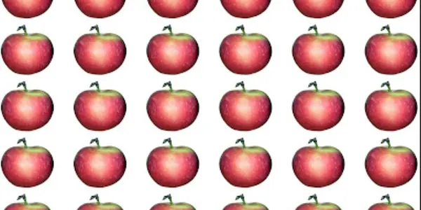 Is It OK To Eat Cloned Fruit?