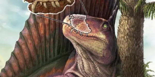 Canuckosaur! Not The Name Of The First Canadian Dinosaur, But It Should Be