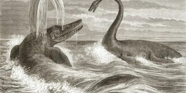 Cenomanian-Turonian Impact On Marine Reptiles