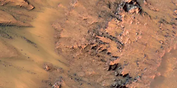 Our Spacecraft Could Look Straight At an Extraterrestrial Microbe - And Not See a Thing!