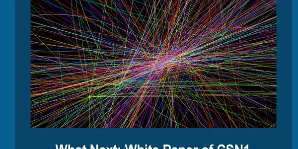 Accelerator-Based Experiments: What Next ?