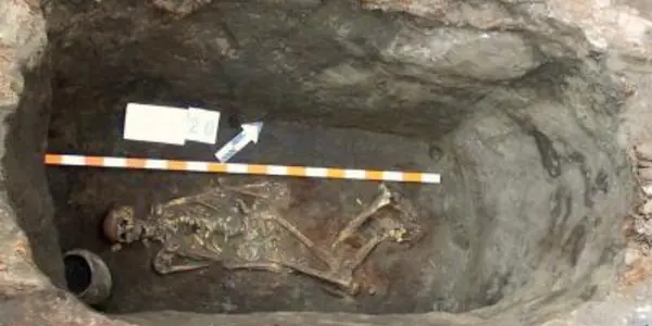 5,000 Years: Recent Natural Selection Altered The Appearance Of Europeans