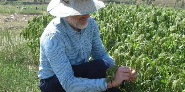 Millet: The Missing Link In Prehistoric Humans' Transition From Hunter-gatherer To Farmer