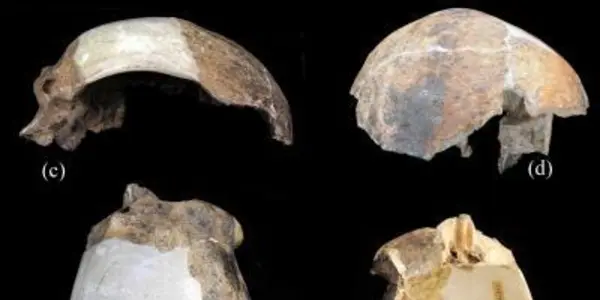 Human Violence From 124,000 B.C.?