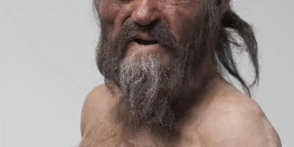 The Pathogens In Otzi's Last Meal