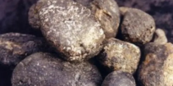 Australian Couple Find Floating Gold
