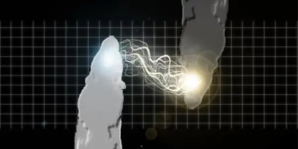 Organic Hive Mind? Brain-To-Brain Information Transmitted Between Rats