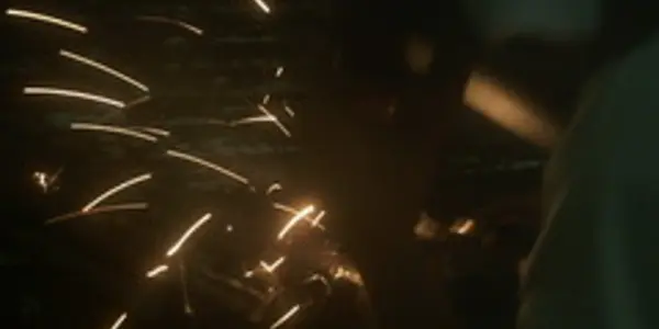 Perseid Meteor Shower