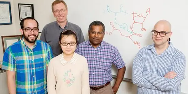 How To Build A Powerful Antibiotic
