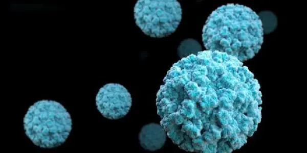 The $60 Billion Question -- Can We Prevent Norovirus?
