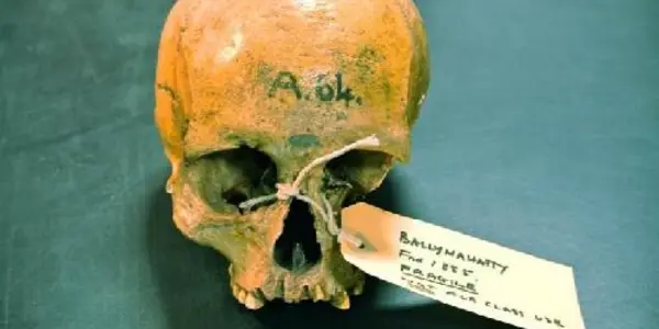 Scientists Sequence First Ancient Irish Human Genomes