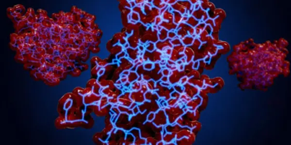 Diabetes, Oxidative Stress & Cardiovascular Disease Management: Ultra-low Microcurrents